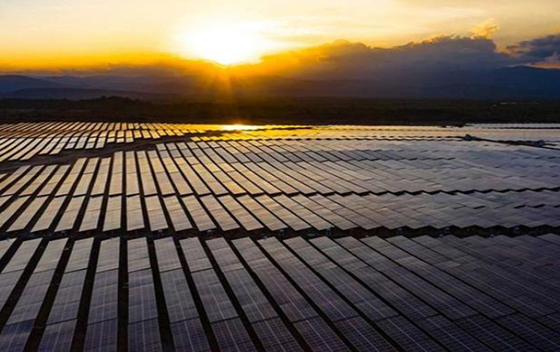 previsiones de la agencia internacional de energía 115 GW de nueva solar esto año